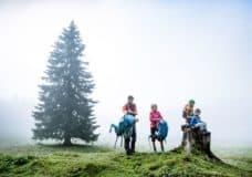 Kurze Rast beim Wandern mit der Familie in Seefeld