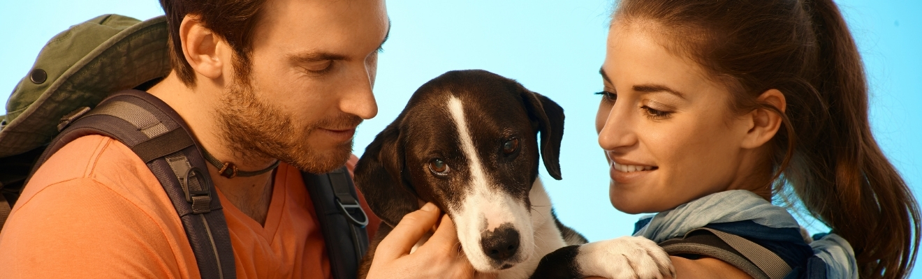 KAL-Seefeld - Urlaub mit Hund-slider